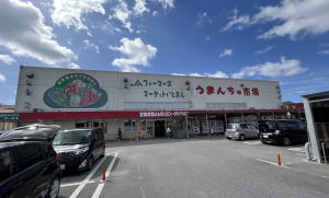 �������C�l�����ʐ^